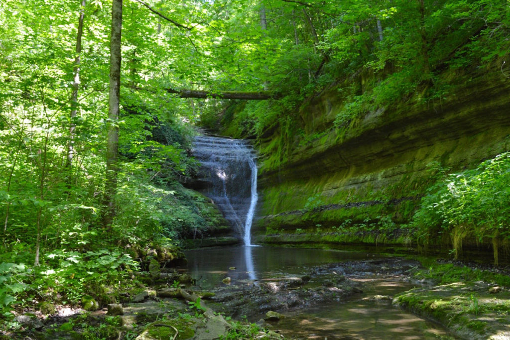 The Sanctuary - Floracliff Nature Sanctuary